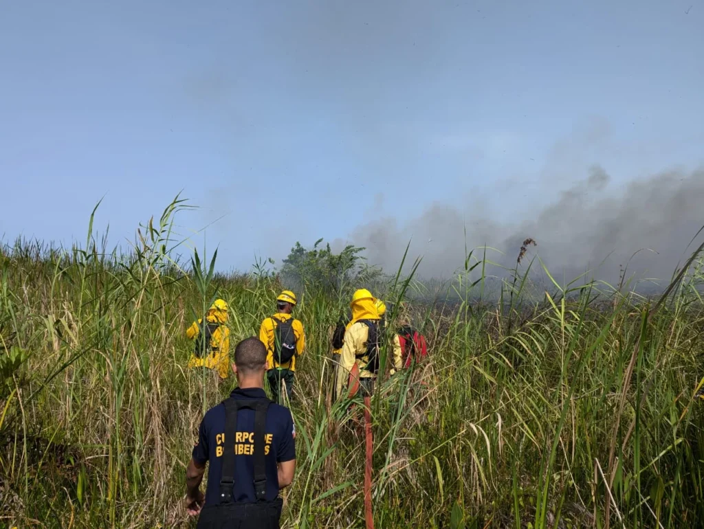 Bomberos forestales