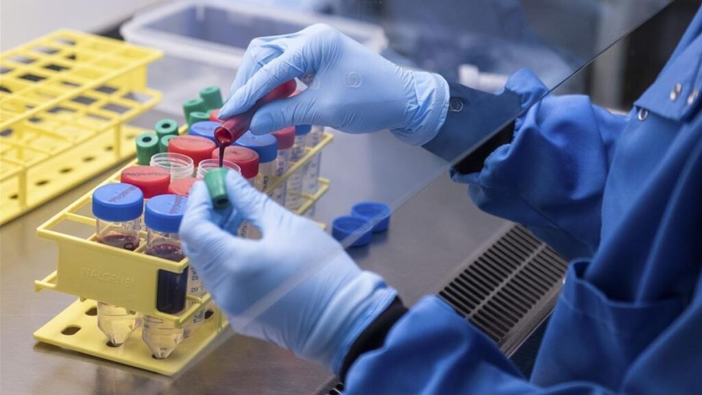 Crean vacuna bacterian logra suprimir cáncer en ratones y frena metástasis