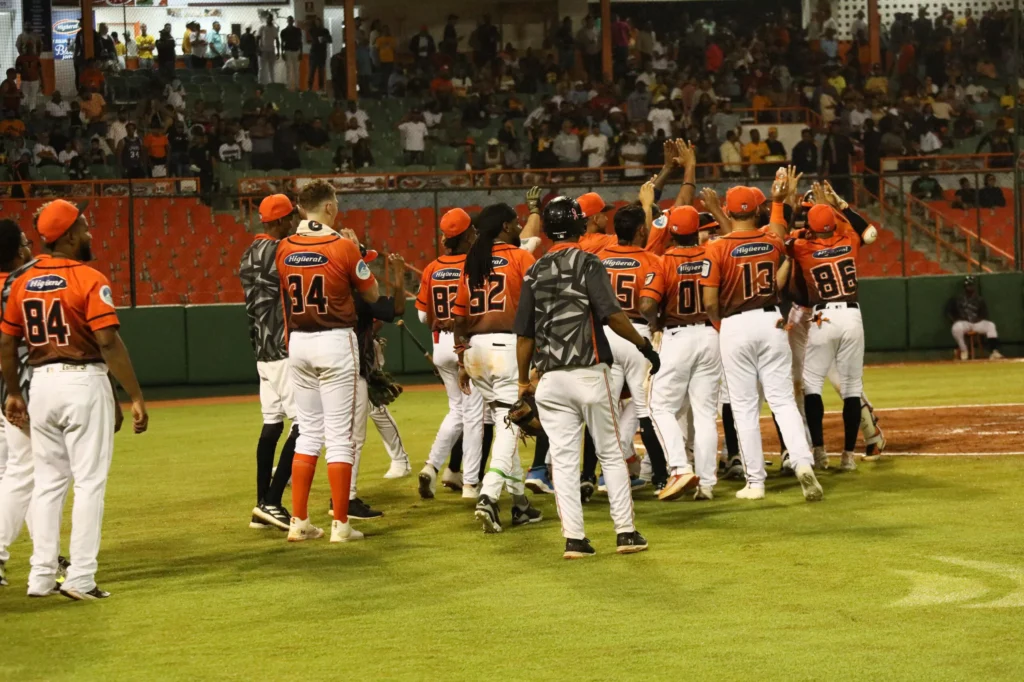 Toros del Este