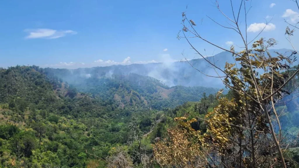 Incendios forestales