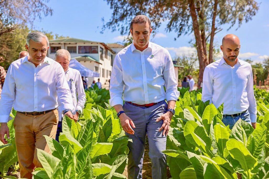 Exportaciones de tabaco dominicano se incrementan en más de 1,000 millones de pesos en 2025 informa INTABACO INTABACO