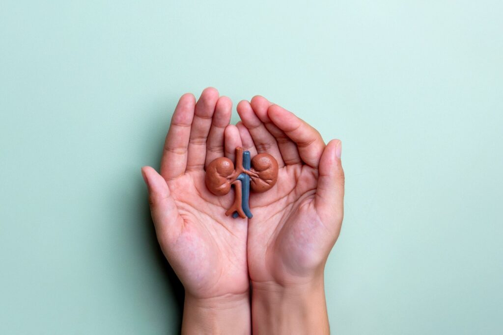 Un riñón puede cambiar una vida y reducir la espera por un trasplante