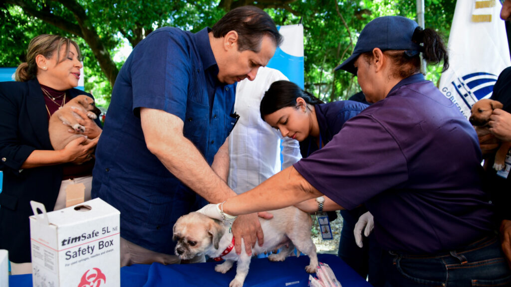 vacunación para perros y gatos
