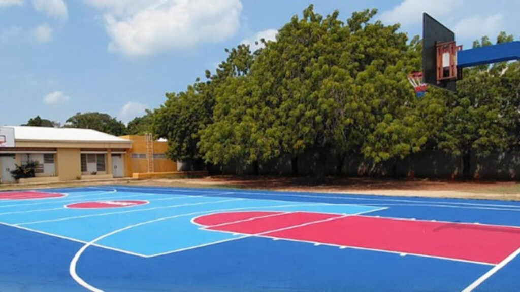 Inefi anuncia remozamiento de canchas en SDE canchas