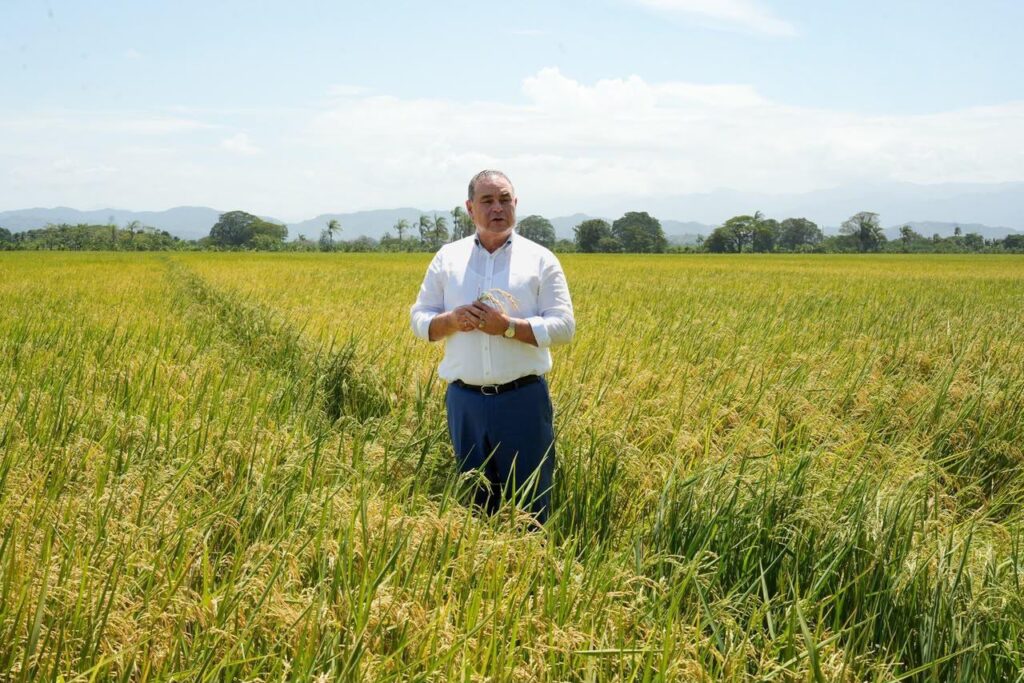 Video confirma postura del ministro de Agricultura sobre polémica por supuesta dispensa al sector arrocero sector arrocero